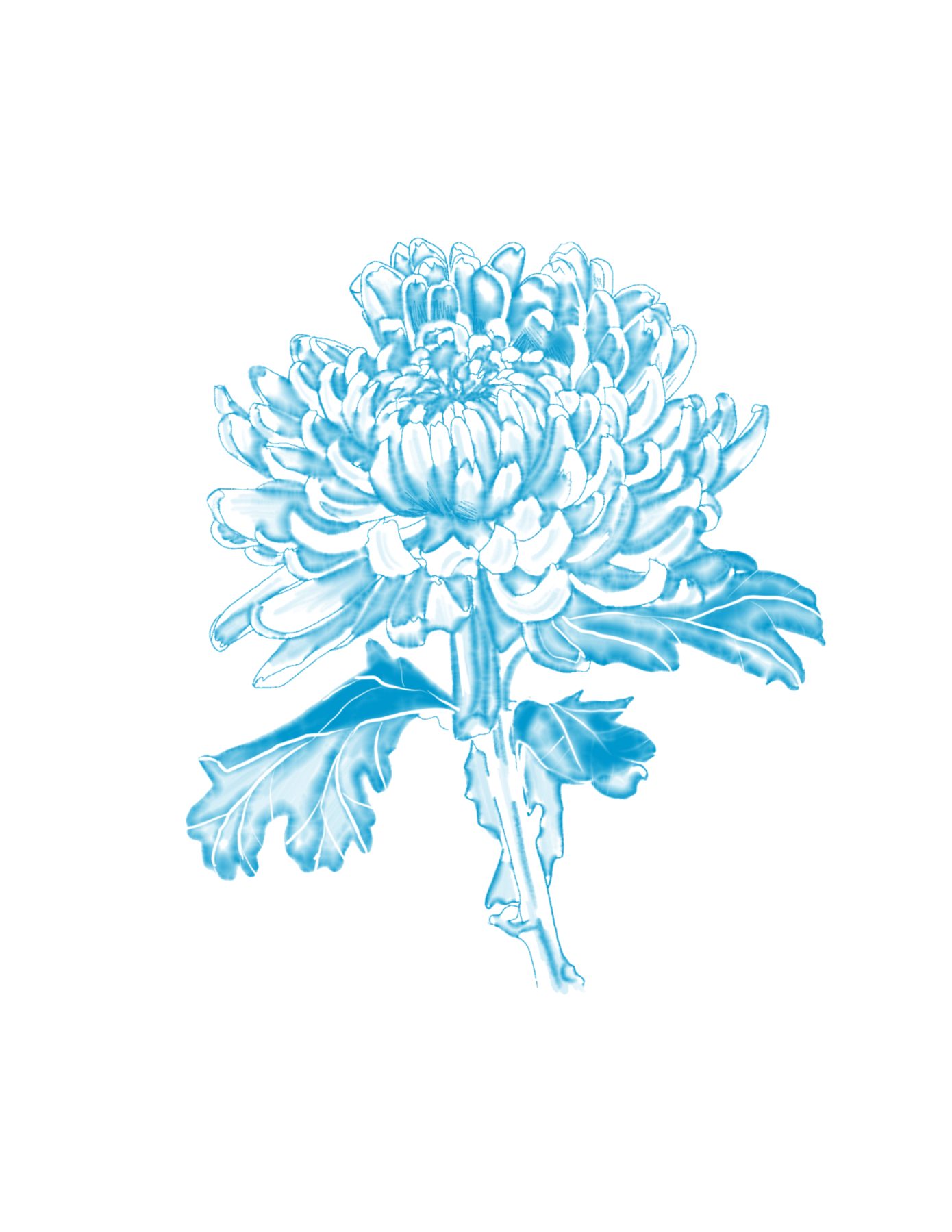 Fleur, digital illustration